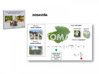Programa Dosaviña